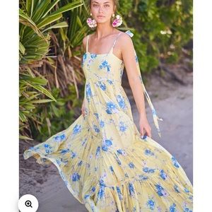 NWT LoveShackFancy Burrows Dress Sunshower Garden